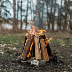 Fire wood