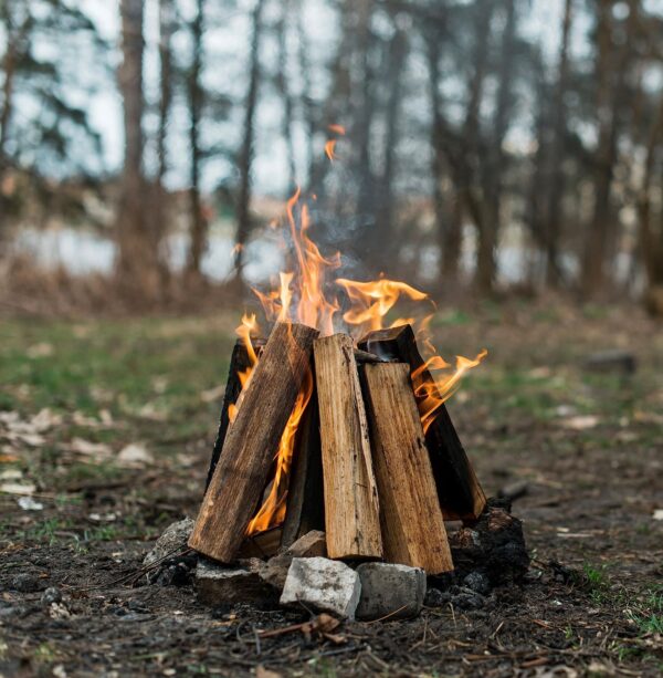 Fire wood