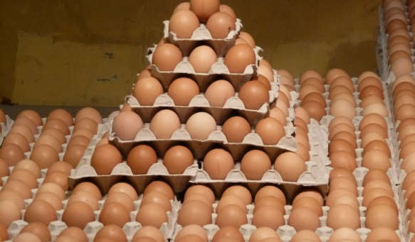 WhatsApp Image 2025-10-16 at 1.27.11 PM